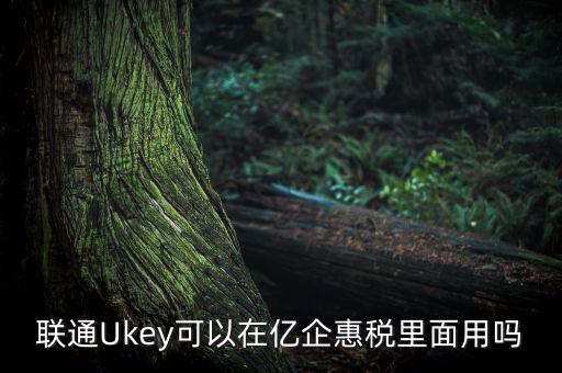 億企惠稅如何填報，聯通硬證書里面還贈送的其他產品是什么怎么用