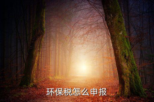 環(huán)境保護(hù)稅b類(lèi)如何申報(bào)表，環(huán)保稅申報(bào)步驟是什么