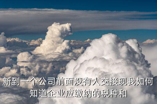 企業(yè)稅目如何查詢，稅局怎么知道我開出的增值稅發(fā)票的稅目是多少