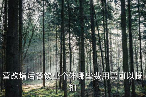 餐飲業(yè)如何抵扣，餐飲業(yè)無法向個(gè)人消費(fèi)者開具增值稅專用發(fā)票那怎么抵扣進(jìn)項(xiàng)稅