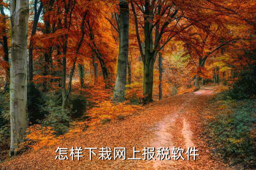如何下載報(bào)稅軟件下載，怎么下載地稅納稅申報(bào)軟件