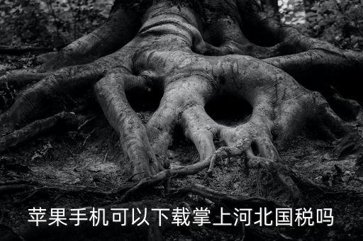 河北掌上國稅如何注冊，蘋果手機(jī)可以下載掌上河北國稅嗎