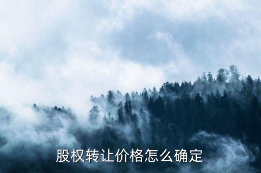 股權(quán)轉(zhuǎn)讓價款如何計算，怎樣計算股份轉(zhuǎn)讓的合理價位