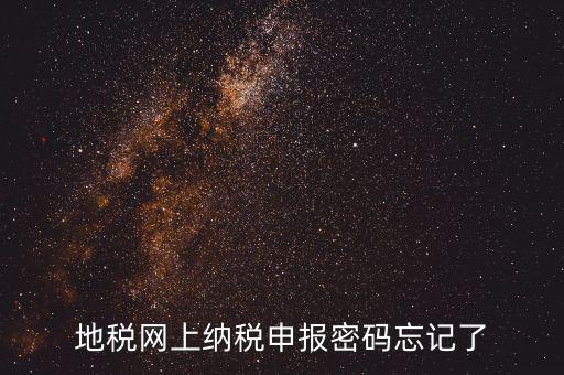 網(wǎng)報如何復(fù)制密碼，地稅網(wǎng)上納稅申報密碼忘記了