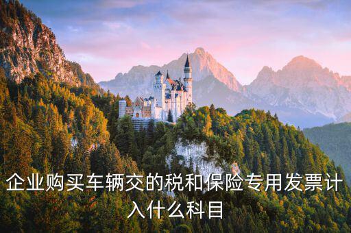 汽車保險(xiǎn)收到專票如何入賬，車輛保險(xiǎn)怎么入賬