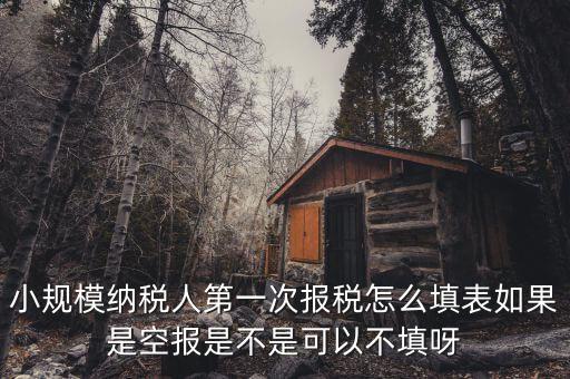 如何填寫首次辦稅補(bǔ)充信息表，稅務(wù)登記補(bǔ)充信息采集表怎么填 誰知道啊