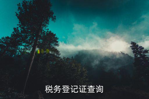 廣東非a級稅務登記如何查詢，稅務登記證查詢