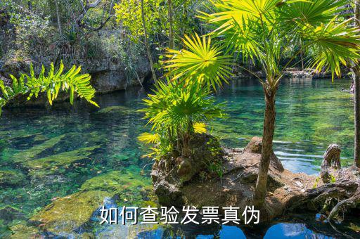 如何查詢專用發(fā)票真?zhèn)尾樵?，如何查驗發(fā)票真?zhèn)?/></a></span><span id=