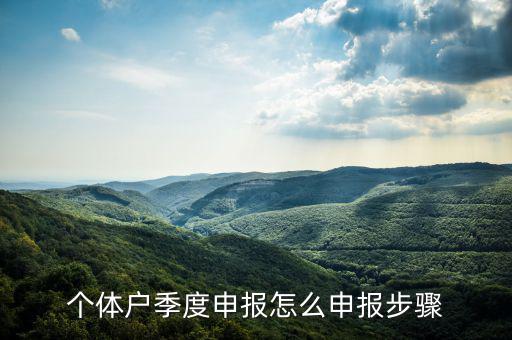 個(gè)體戶如何季度申報(bào)表，個(gè)體戶每個(gè)季度怎樣報(bào)稅