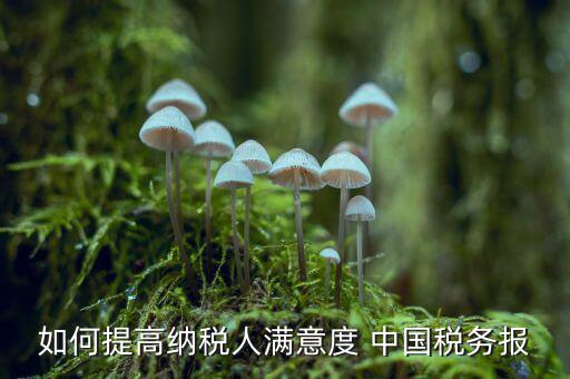 地稅如何提升納稅人滿意度，如何提高納稅人滿意度 中國(guó)稅務(wù)報(bào)