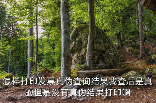 怎樣打印發(fā)票真?zhèn)尾樵兘Y果我查后是真的但是沒有真?zhèn)谓Y果打印啊