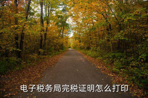 福建省網(wǎng)上稅務(wù)局如何打印，電子稅務(wù)局完稅證明怎么打印