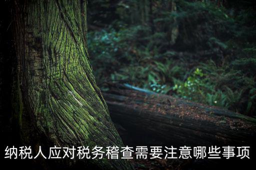 國稅稽查如何應對聽證，怎么應對稅務局的稅務稽查