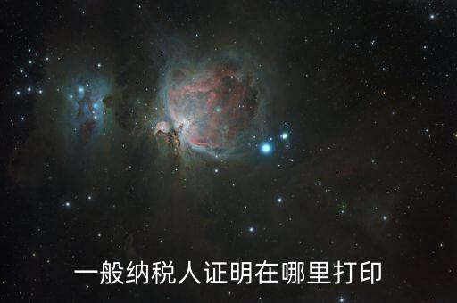 如何打印一般納稅人證明文件，一般納稅人資格認(rèn)定表如何在網(wǎng)上打印文書(shū)