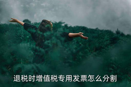 申報退稅如何分批，同一個退稅申報期內可以申報2個批次嗎
