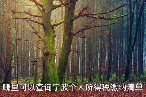 寧波個人納稅如何查詢，哪里可以查詢寧波個人所得稅繳納清單
