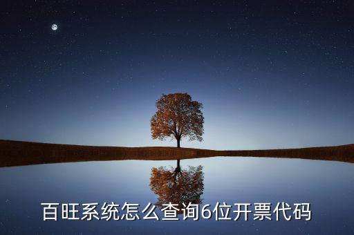 如何獲取開票代碼，增值稅專用發(fā)票開票時輸開票碼是怎么操作