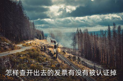 怎樣查開(kāi)出去的發(fā)票有沒(méi)有被認(rèn)證掉