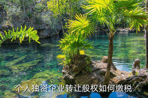 個人股權(quán)轉(zhuǎn)讓如何繳稅，轉(zhuǎn)讓股權(quán)個人所得稅怎么交