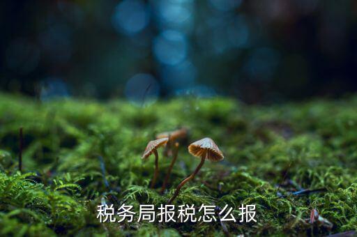 南通地稅如何申報，江蘇南通國家稅務(wù)局通用機(jī)打發(fā)票CIMS中沒有該用戶的申請或?qū)徟?/></a></span><span id=