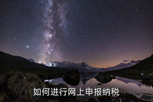 如何設(shè)置稅務(wù)網(wǎng)站，如何進行網(wǎng)上申報納稅