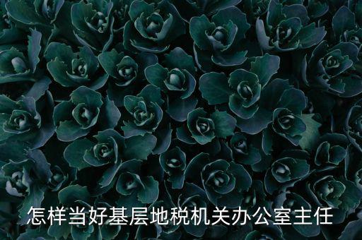 稅務(wù)部門如何抓好主體責(zé)任，如何做好稅收法規(guī)工作