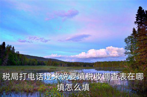 涉稅事項調(diào)查表如何填寫，09全國稅收調(diào)查表如何填寫