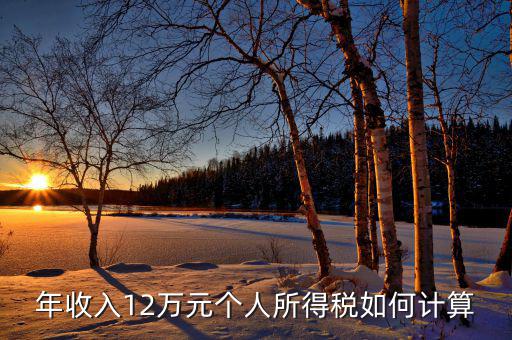 如何計(jì)算12萬申報(bào)，年收入12萬元個(gè)人所得稅如何計(jì)算