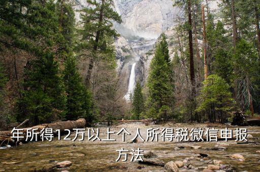 江蘇12萬元申報(bào)如何登錄申請(qǐng)，江蘇12萬元個(gè)人所得稅怎么申報(bào)