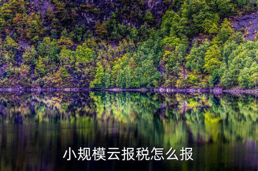 如何在云辦稅廳報稅，小規(guī)模云報稅怎么報