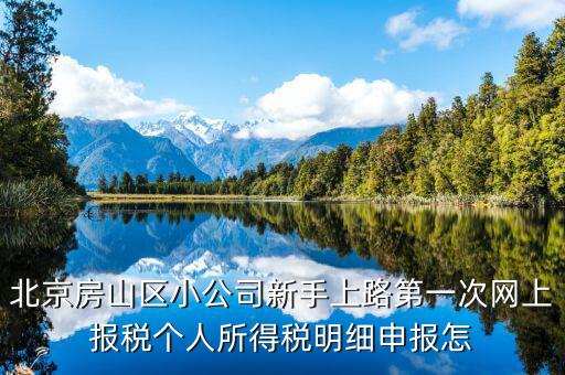 北京網(wǎng)上申報(bào)后如何繳稅，地稅國稅的網(wǎng)上繳稅怎么繳