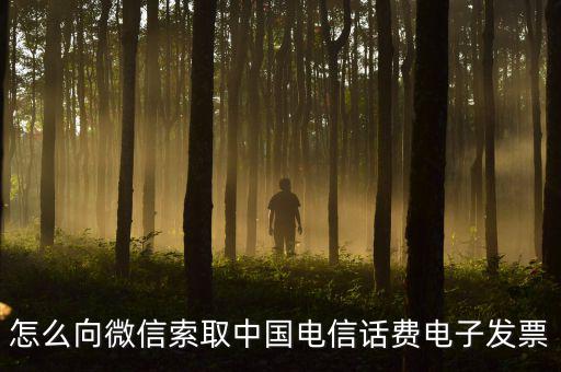 發(fā)票幫公眾號如何使用，9月1號預(yù)付微信公眾號300元9月6號收到發(fā)票要怎么做賬