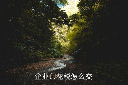 企業(yè)印花稅如何繳納，企業(yè)印花稅怎么交