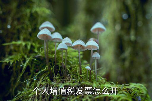 個人如何開增值稅普票，開增值稅普通發(fā)票個人怎么開