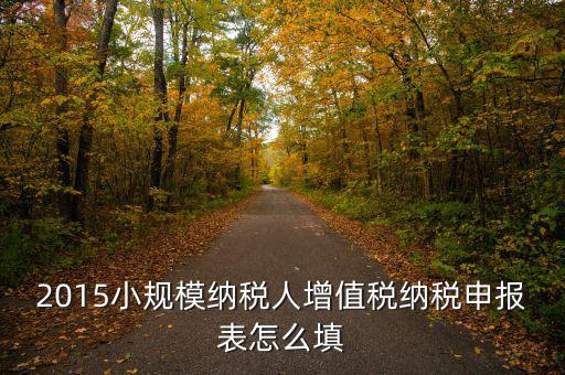 小規(guī)模納稅人國(guó)稅申報(bào)表如何填，小規(guī)模納稅人的報(bào)表怎么填