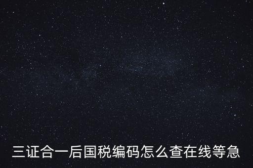 如何查詢個(gè)人稅務(wù)編號查詢系統(tǒng)，請問在哪里可以查到納稅人編碼