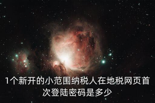 地稅ca如何登錄密碼是多少錢，1個新開的小范圍納稅人在地稅網(wǎng)頁首次登陸密碼是多少