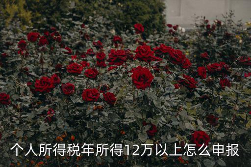 陜西地稅 12萬以上如何申報，個人所得稅年所得12萬以上怎么申報