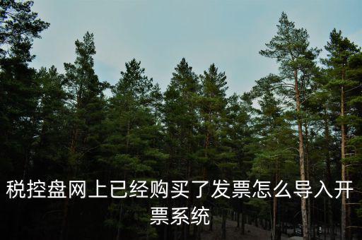 如何網(wǎng)上開票系統(tǒng)，稅控盤網(wǎng)上已經(jīng)購買了發(fā)票怎么導(dǎo)入開票系統(tǒng)