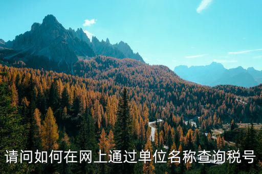 請問如何在網上通過單位名稱查詢稅號