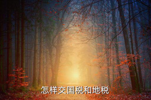 如何開(kāi)通國(guó)稅和地稅，怎樣在網(wǎng)上開(kāi)通國(guó)稅和地稅的申報(bào)啊特別是地稅有稅的申報(bào)和一般納