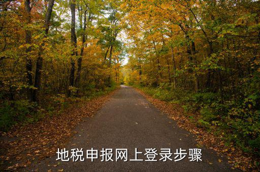 廣西國稅地稅如何網(wǎng)上申報，稅務(wù)申報如何網(wǎng)上申報