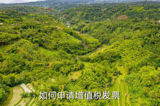 增值稅卷式發(fā)票如何申，新開公司如何申請增值稅發(fā)票