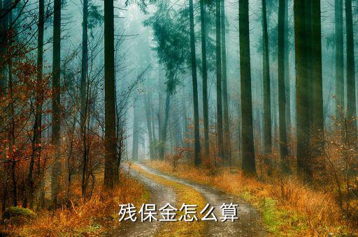 2016年四川殘保金如何計(jì)算，殘保金計(jì)算問(wèn)題 急