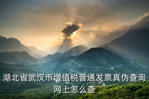 湖北省定額發(fā)票真?zhèn)稳绾尾樵兿到y(tǒng)，湖北地稅發(fā)票真?zhèn)尾樵兊降资鞘裁礀|西都查不到