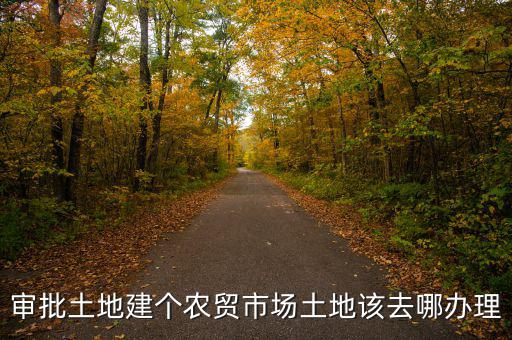 農(nóng)貿(mào)市場土地如何取得，審批土地建個農(nóng)貿(mào)市場土地該去哪辦理