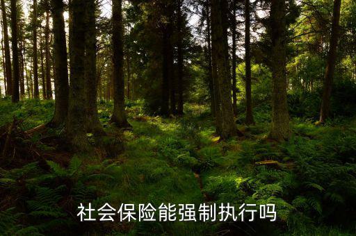 社會保險費如何執(zhí)行，社會保險能強制執(zhí)行嗎