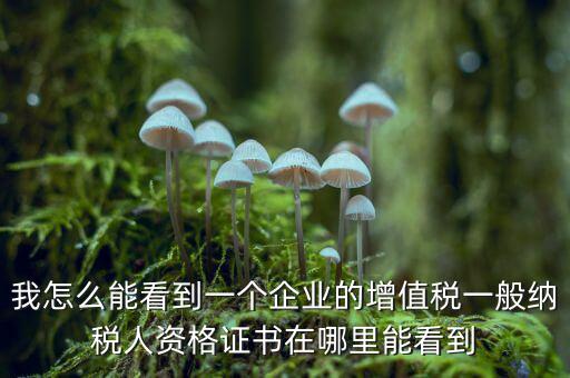 增值稅一般納稅人資格如何查詢，重慶國稅網如何查詢企業(yè)是否一般納稅人