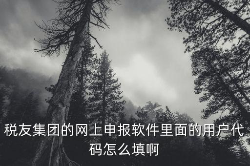 稅友軟件如何申報(bào)，稅友通是如何報(bào)稅的