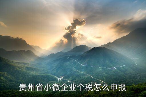貴州個稅如何申報，國稅年報是不是在一般納稅人界面的其他稅種申報里面
